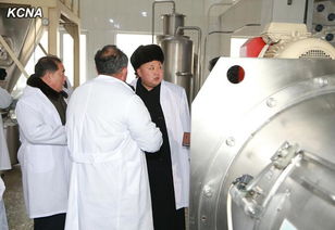 金正恩视察儿童食品厂 以科技与创新引领未来
